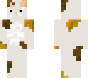calico cat