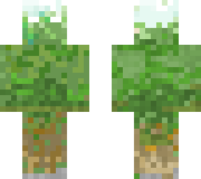 camo 1