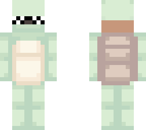 turtle pro