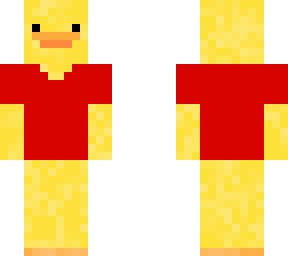 ducky with shirt