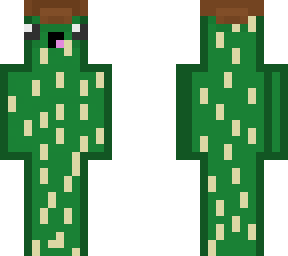 randomnerd ( cactus boi )