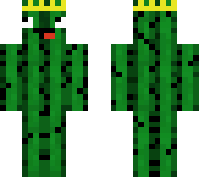 cactus for the competion