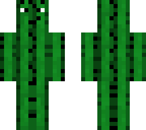 cactus skin