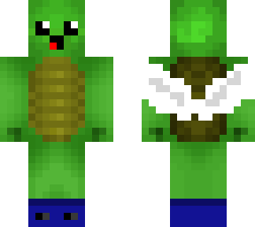 flying turtle