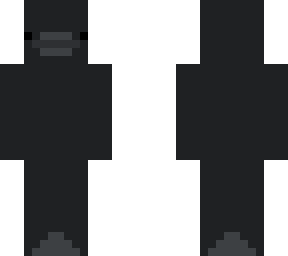 shadow duck