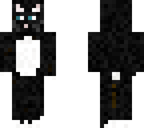 tuxedo cat