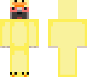 dog duck
