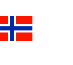 flag 7