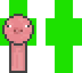 pig dream