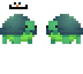 turtle man