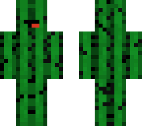 cactus derp