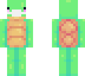 cute turtle with a mask