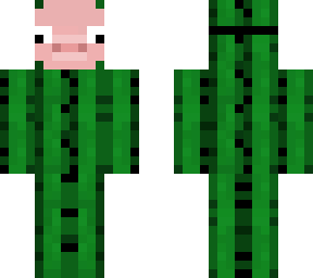 piggy cactus