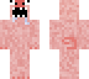 pig