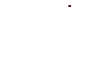 punto
