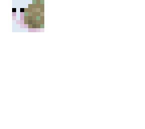 ~snail~ ce