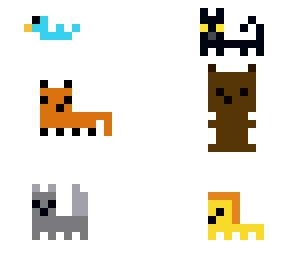 animal contest!