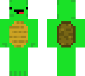 turtle's are amazing