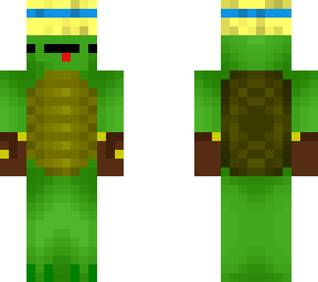 turtle with hat
