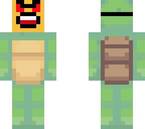 turtle with issues