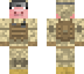 us pig soldier