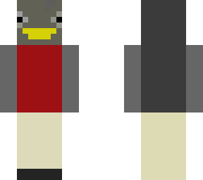 american robin