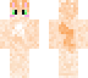 cute kitten