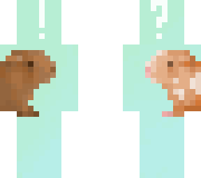 guinea pigs - ce