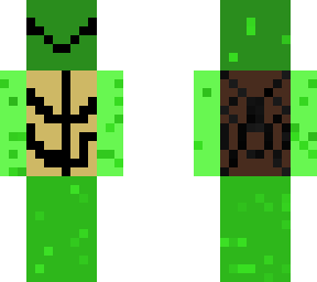 shelly turtle 44
