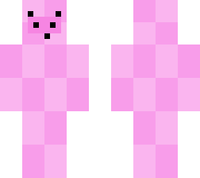 4 bit pig