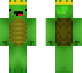 best turtle