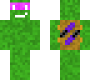 good or bad looking turtle?