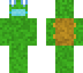 turtle with mask