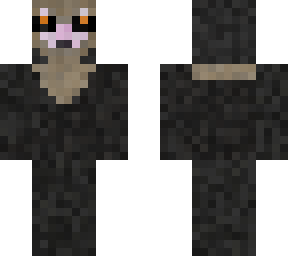 aye aye lemur