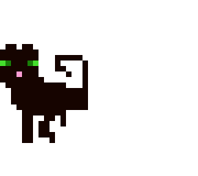 black cat for contest