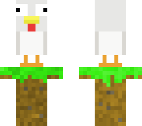 concy chicken