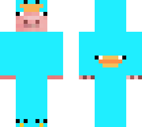 cute pig