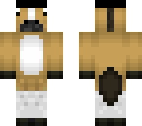 horse