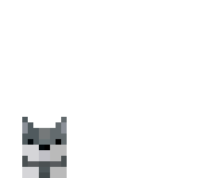 skin of my friends cat (ce)