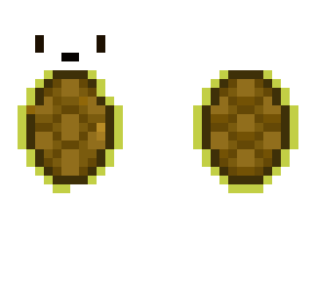 turtle derp