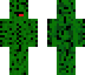 cactus skeppy