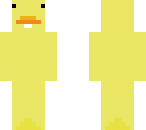 cute duck