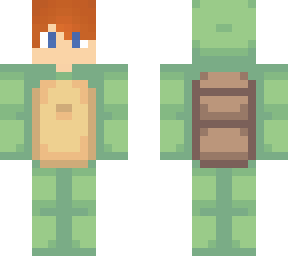 fryy turtle