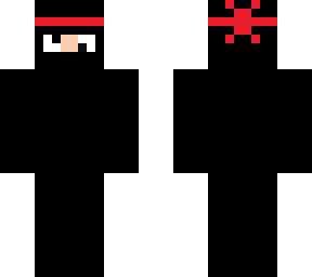 stuipid ninja