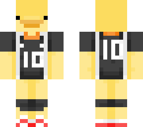 haikyuu hinata duck