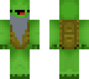 derpy turtle beard
