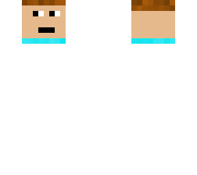 mini steve