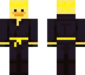 the yellow ninja duck