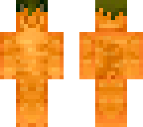 carrot cat
