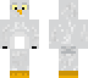 dr owl